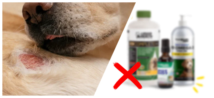 Why Your Go-To Flea Solutions Aren't Safe (Flea Shampoos, Topical Treatments, Chewable Tablets, Collars, and Sprays)?
